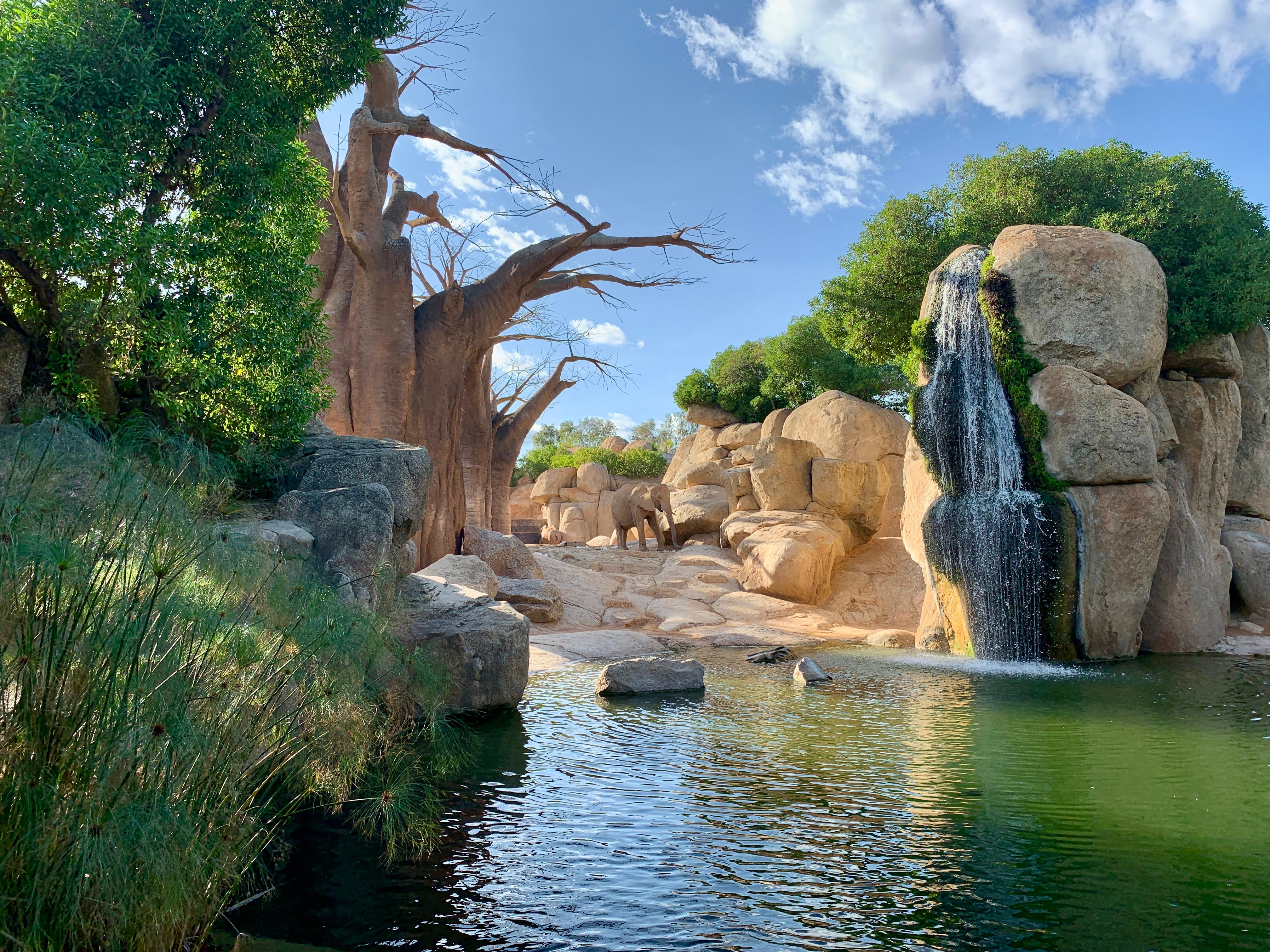 bioparc
